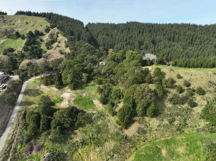 58a Dryden Street Whataupoko_2