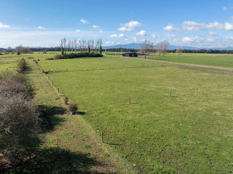 449 Taukoro Road Morrinsville_24