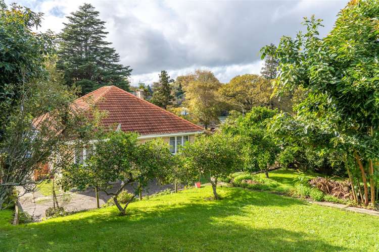 12 Tisdall Street Hamilton Central_3