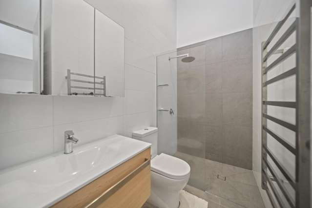 383 Murphys Road Flat Bush_4