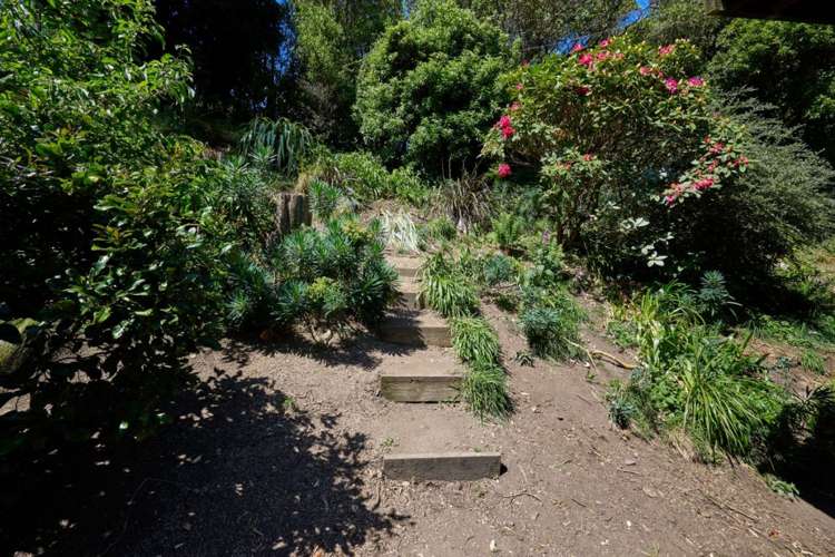 28 Goose Bay Kaikoura_34