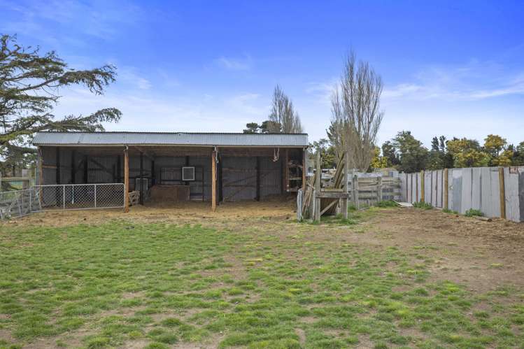 176 Amberley Beach Road Amberley_17