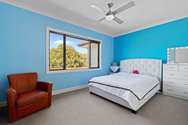 166J Postman Road Dairy Flat_12