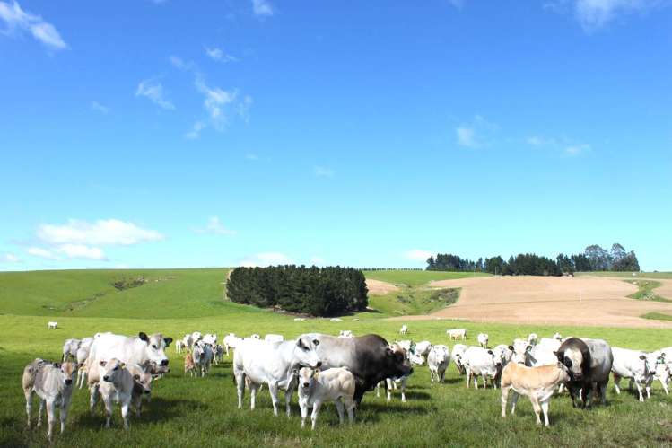 865 Wallaces Ford Road Clarks Junction_22