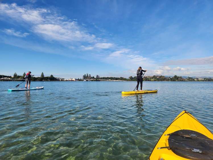 98A Maxwells Road Otumoetai_17