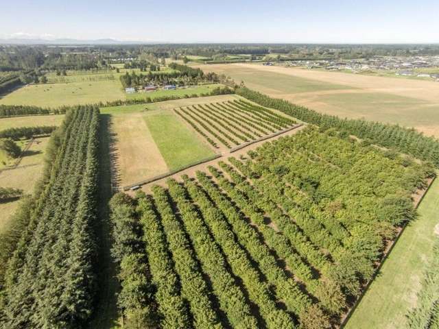 3/377 Halkett Road West Melton_4