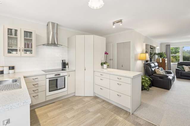 12 Galbraith Street Springfield_2