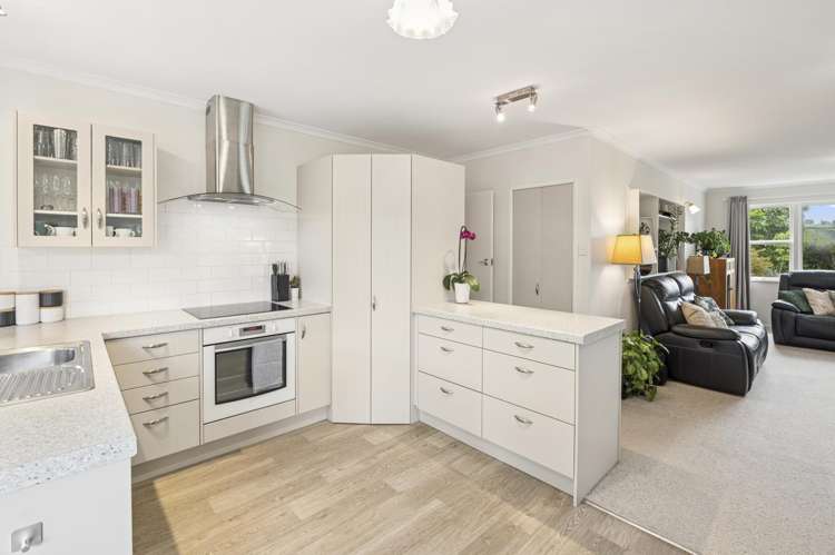 12 Galbraith Street Springfield_2