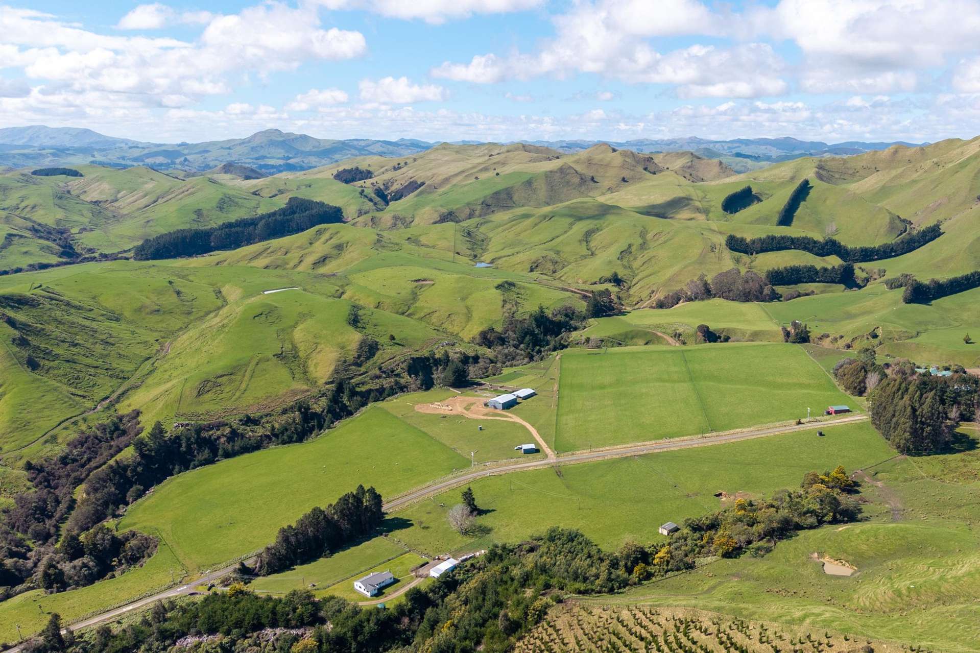 558 Pukeatua Road Dannevirke_0