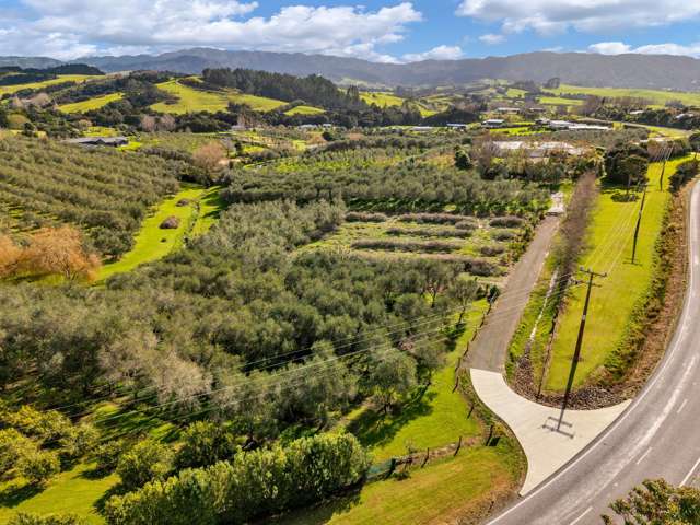 Lot 3, 2282 Cove Road Mangawhai_1