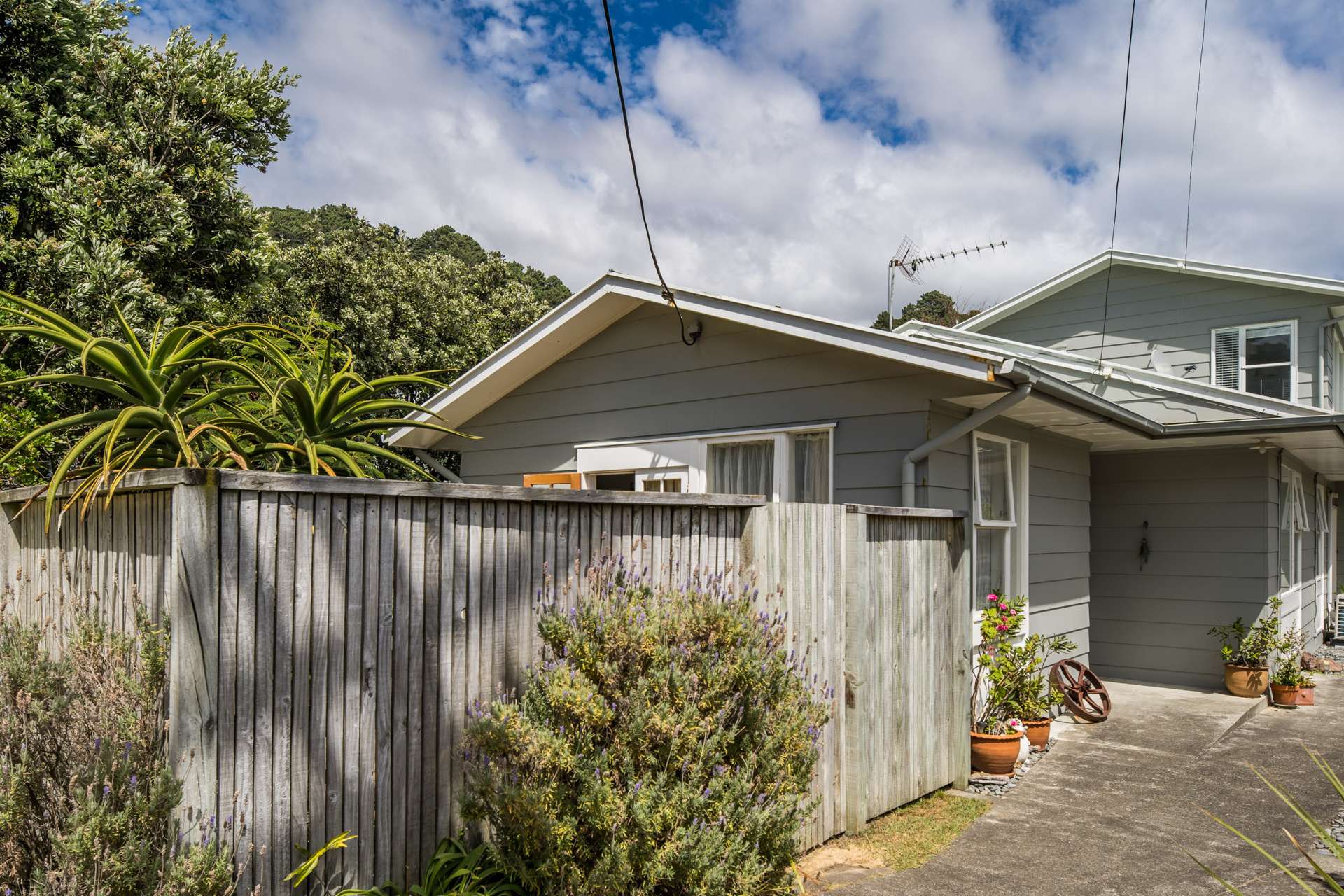 4a Nikau Street Eastbourne_0