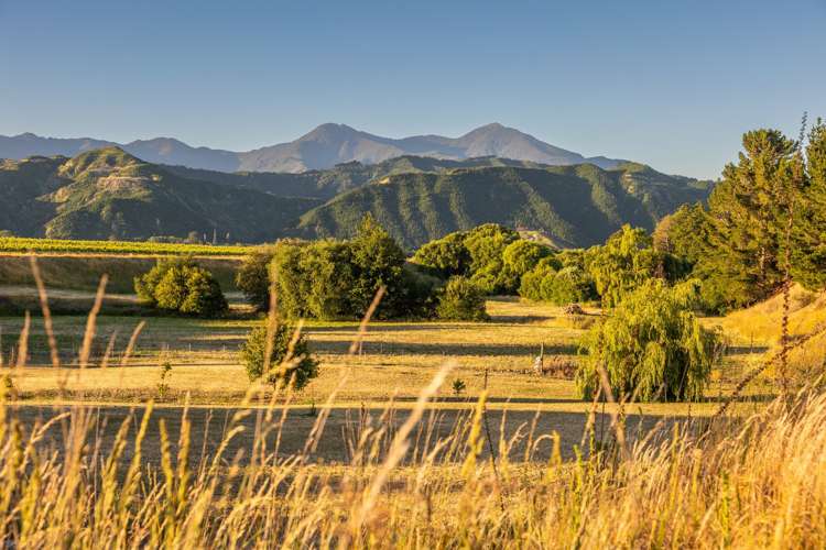 1048 State Highway 63 Wairau Valley_20