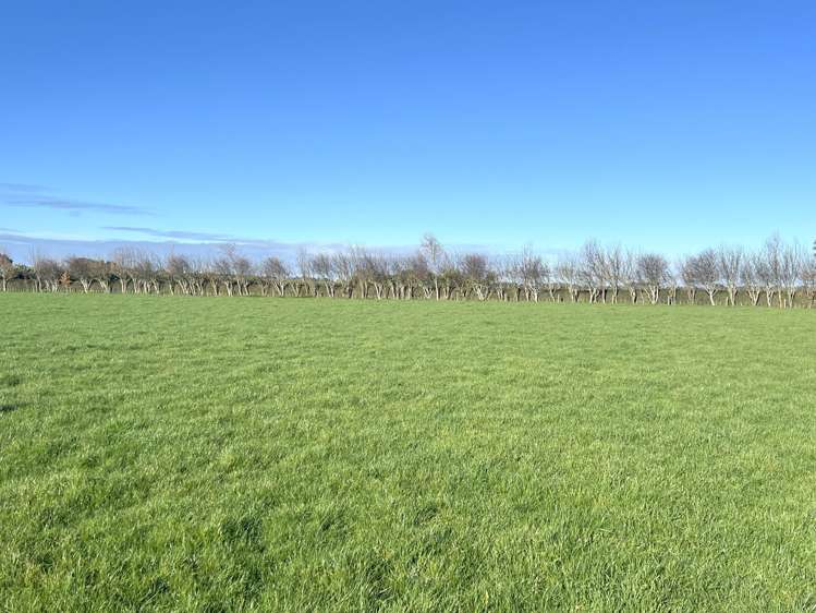 432a Lorne Dacre Road Roslyn Bush_34