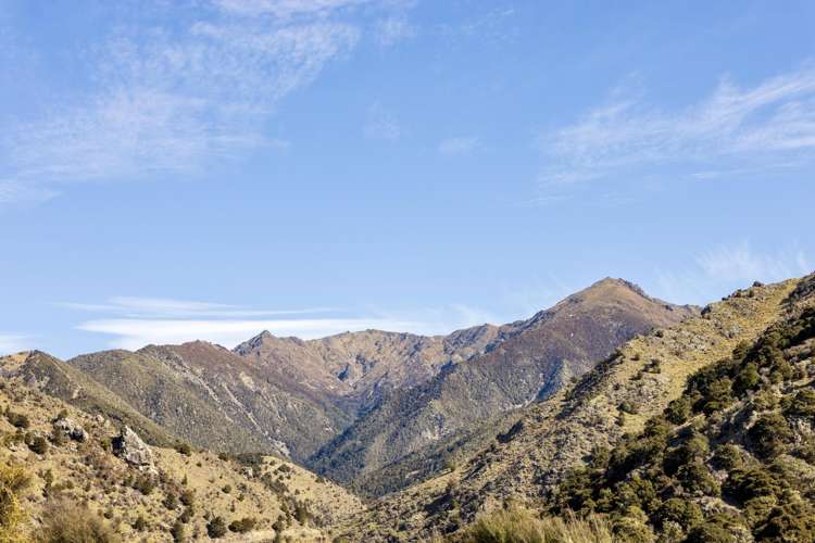 4098 Waihopai Valley Road Waihopai Valley_19