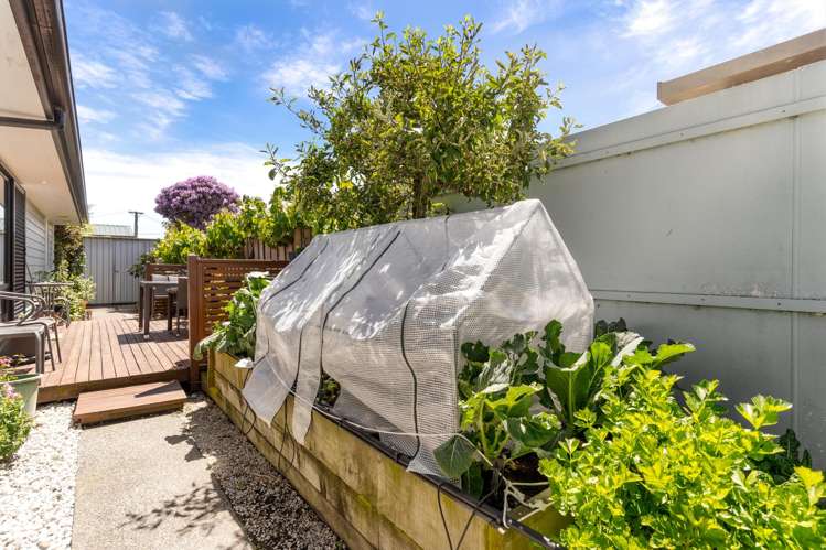 17A Mahoe Street Templeton_15