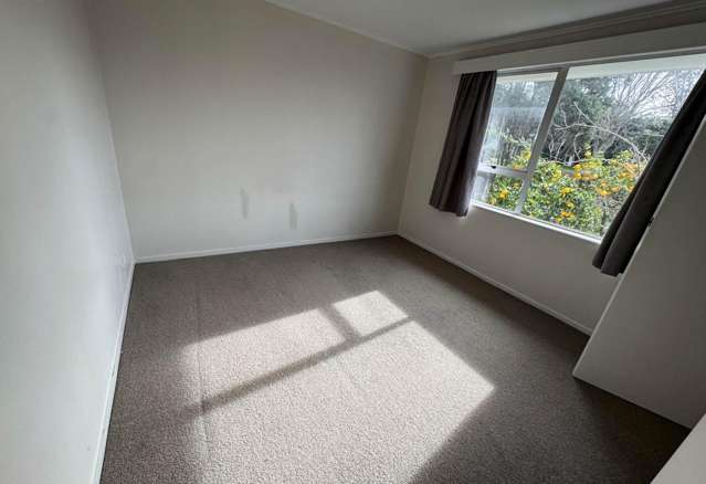 4/2 Riverview Road Panmure_4