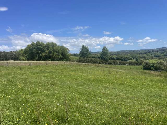 63 Follies Way Dairy Flat_2