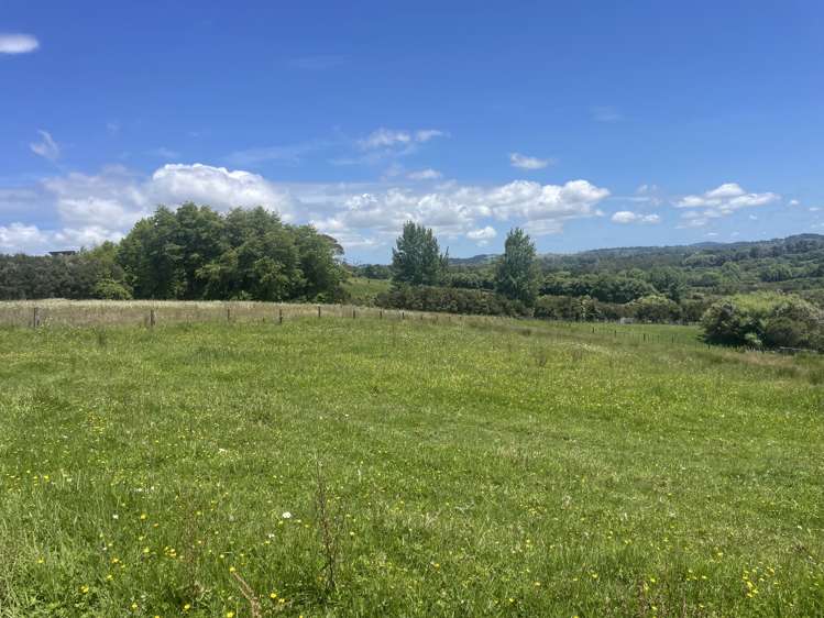 63 Follies Way Dairy Flat_2