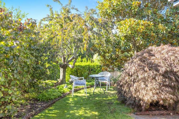 10 Pony Lane Spreydon_12