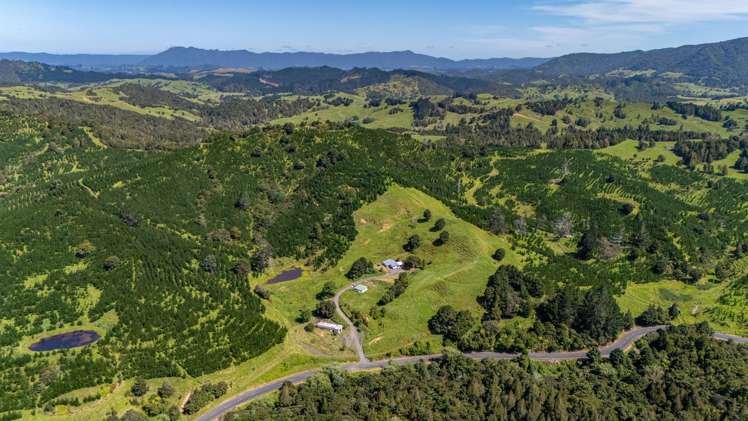 386 Pawarenga Road Broadwood_28