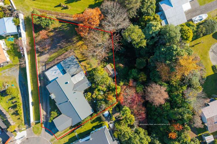 2 Birch Street Hilltop_14