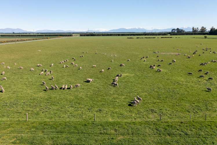 1033 Boundary Road Ashburton_4