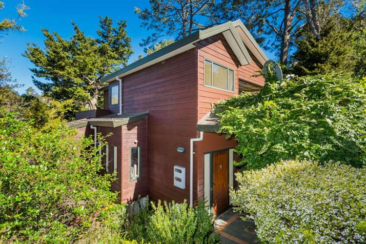 1 Bush View Lane Northcote Point_23