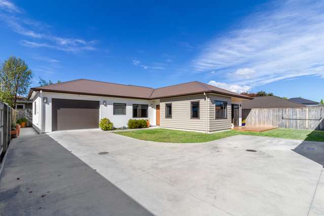 61a Avondale Road Taradale_1