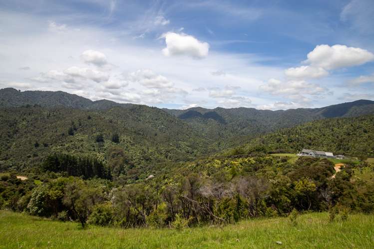 60 Waiomu Valley Road Waiomu_21