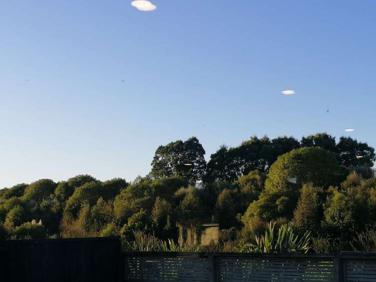 46 Watkins Road Cambridge_16