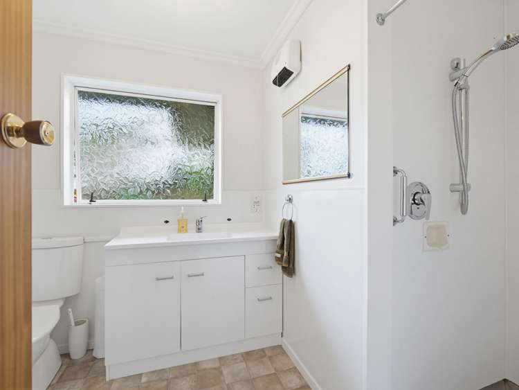 45 Dittmer Drive Awapuni_15