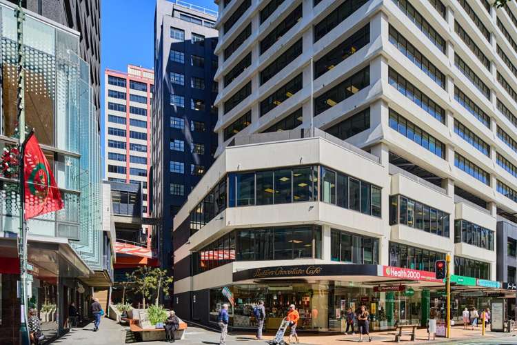 85 The Terrace Wellington Central_18