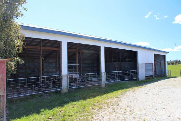 295 Waiteitei Road Wellsford_12