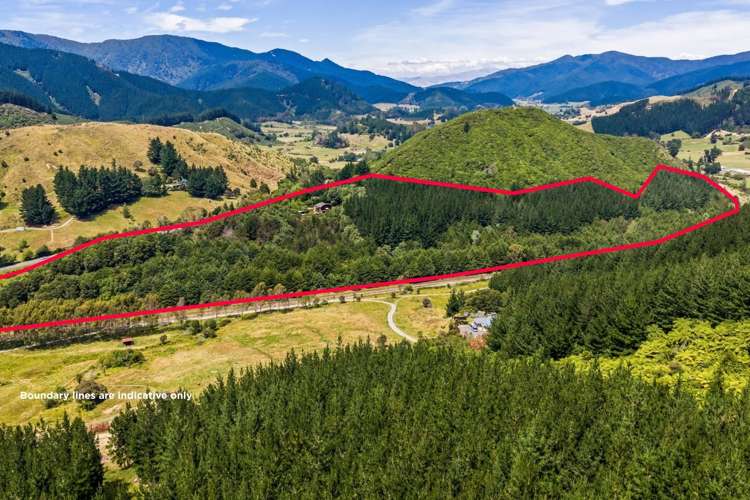 364 State Highway 1 Koromiko_33