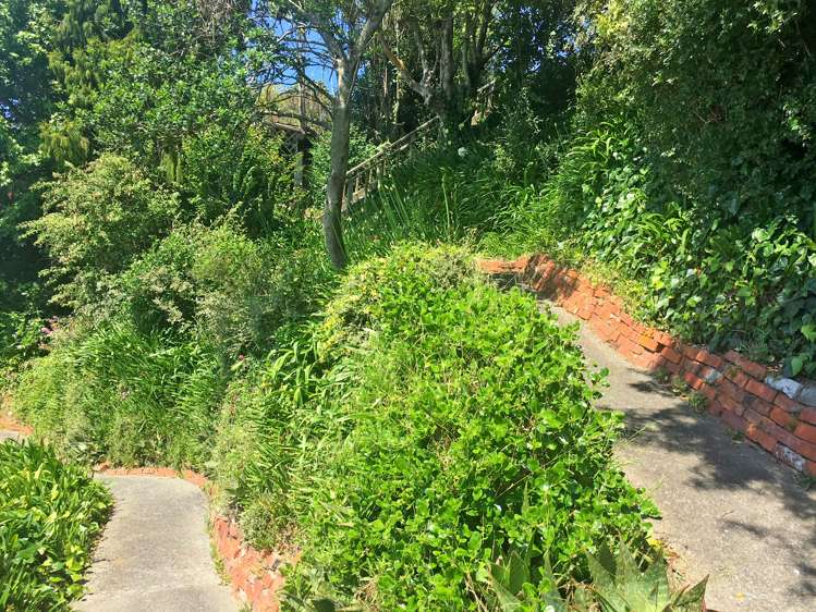 3 Grenville Terrace Moana_7