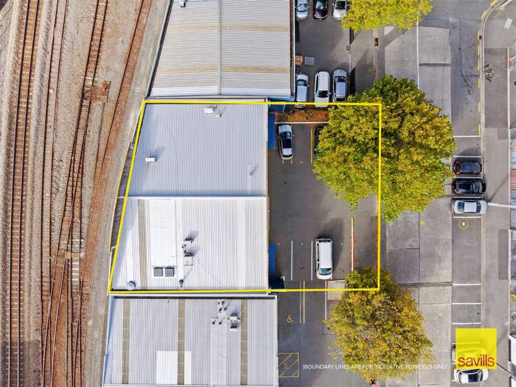 59 Carlyle Street Sydenham_11