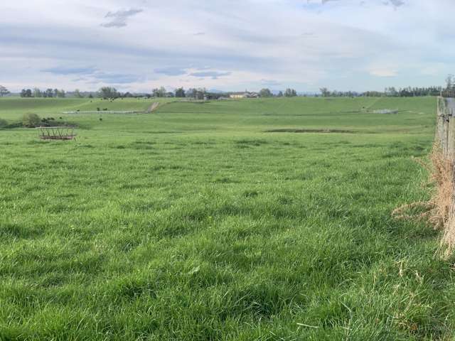 Whitneys Road Waimate_1