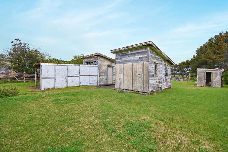 59 Punga Street Tangimoana_20