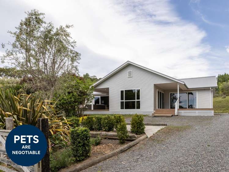 1300 Waimarama Road 2330_17