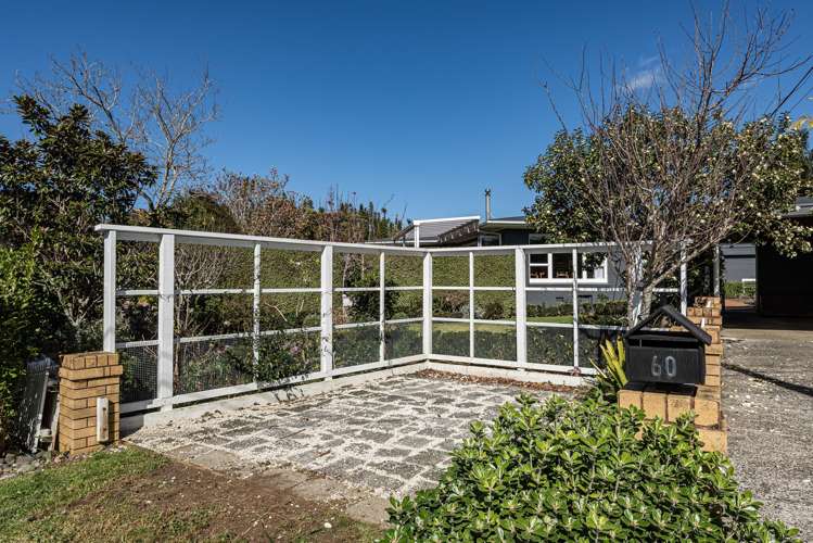 60 Carr Street Te Kamo_29