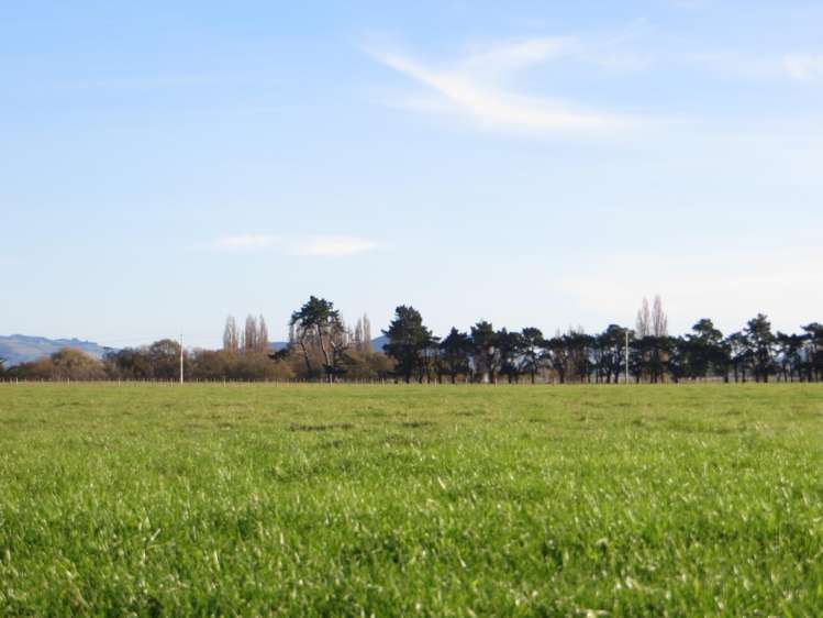 3245 State Highway 2 Takapau_10