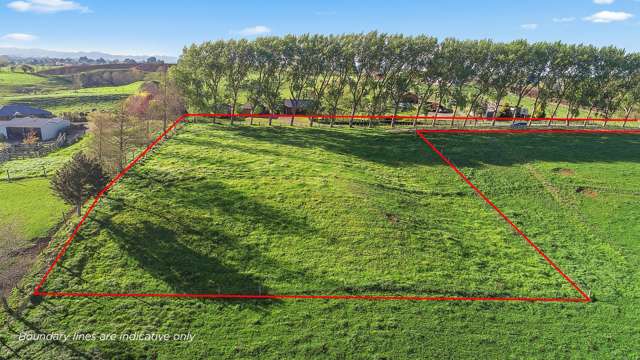 41 Mccandlish Road Ngahinapouri_4