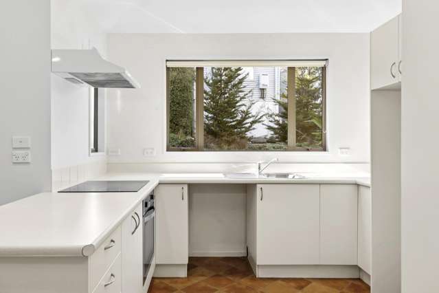 3b Hogan Lane Wanaka_3