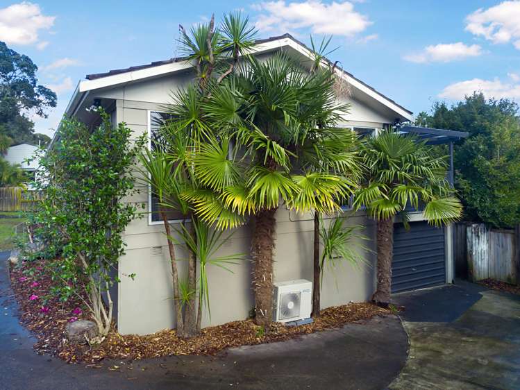 13 Leo Street Glen Eden_15