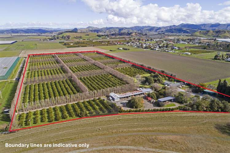 64 Cemetery Road Patutahi_7