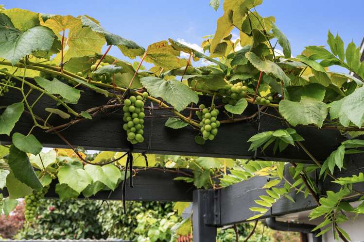 88 Cotswold Avenue Bishopdale_26