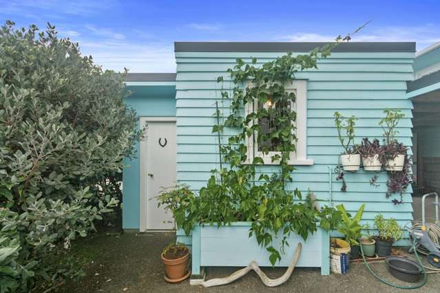 146 Mount Albert Road Mount Albert_1