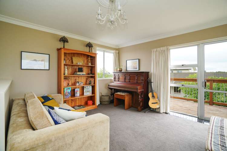 491 Racecourse Road Hargest_9