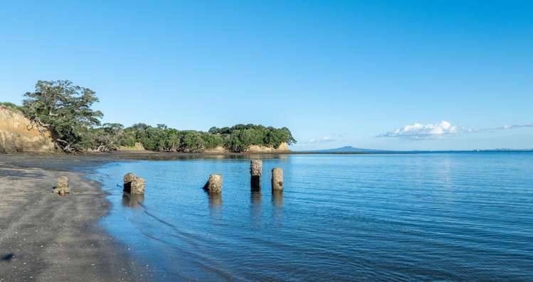 3 Daisy Burrell Drive Gulf Harbour_72