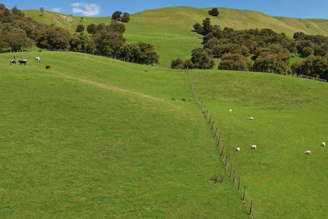 455 Anaroa Road Raukawa_3